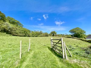 Photo 38- click for photo gallery